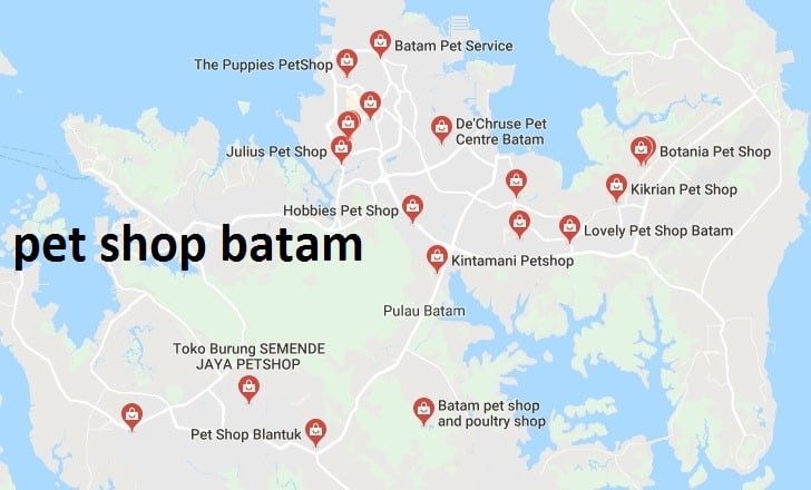 Pet shop batam